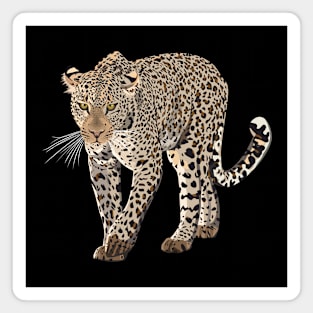 Leopard Magnet